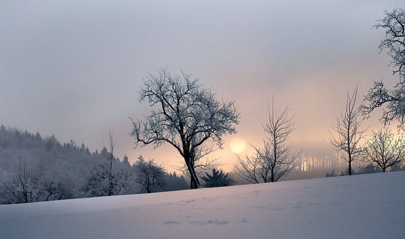 Landscape covered in ice and a tree in the center and sunsetting behind