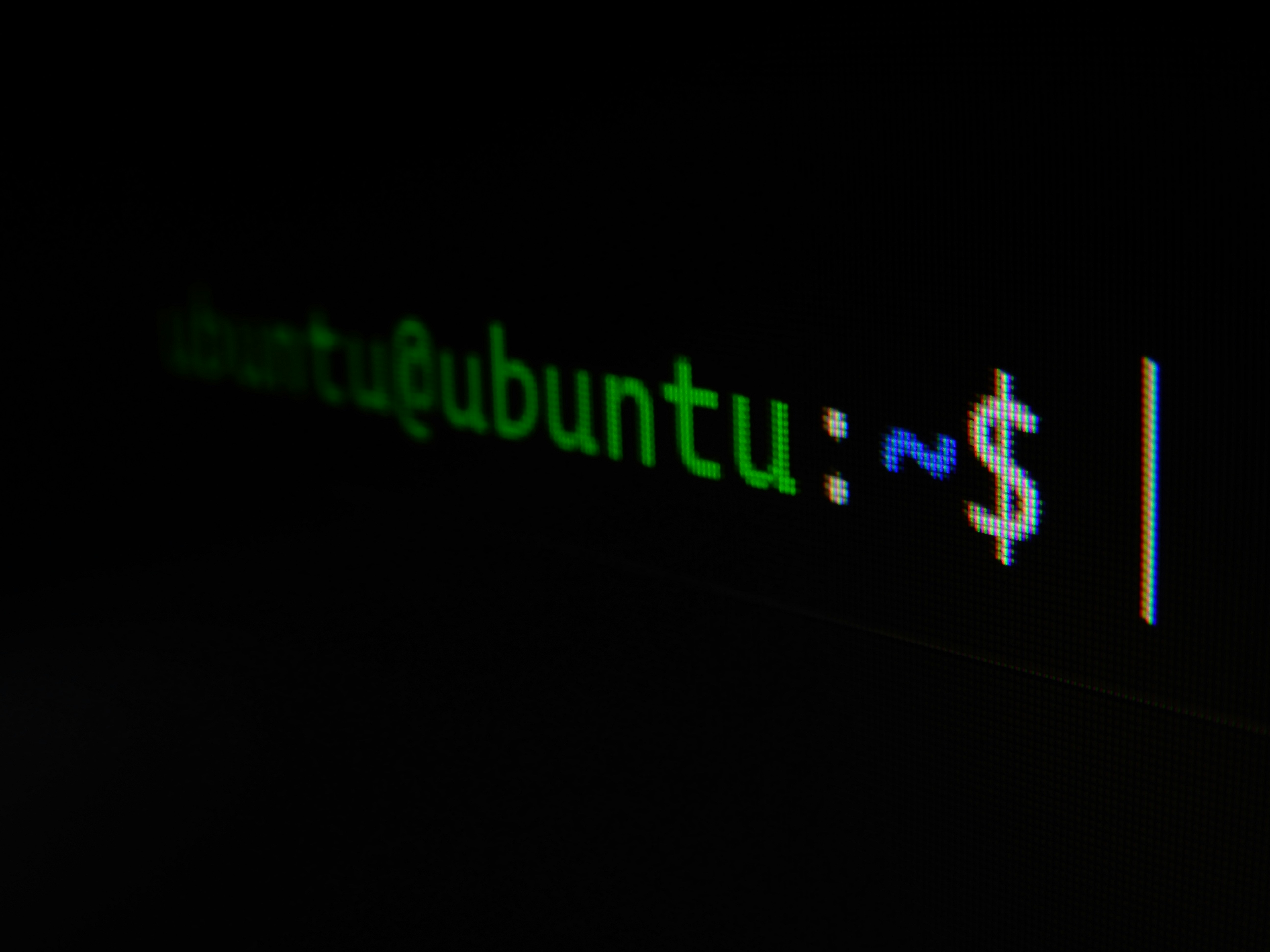 A Linux terminal at a command prompt
