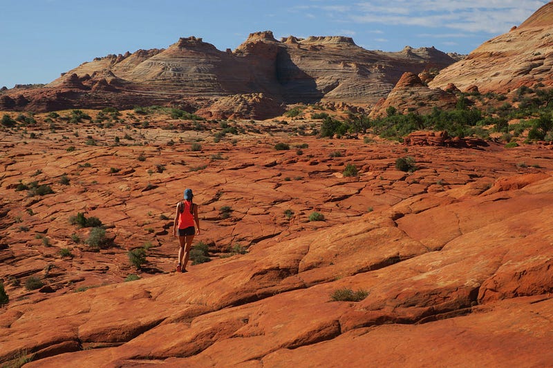 A person standing in the middle of an eroded landscape with some hills in the background.